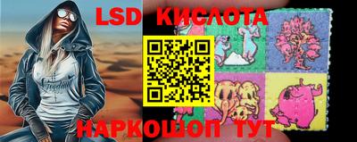 гидропоника Сланцы
