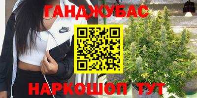 гидропоника Сланцы